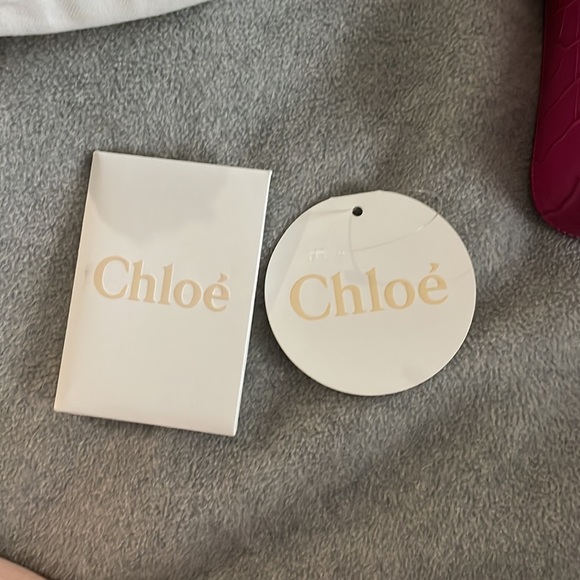 Chloe Calfskin Crocodile Embossed Mini C bag - Picture 5 of 12